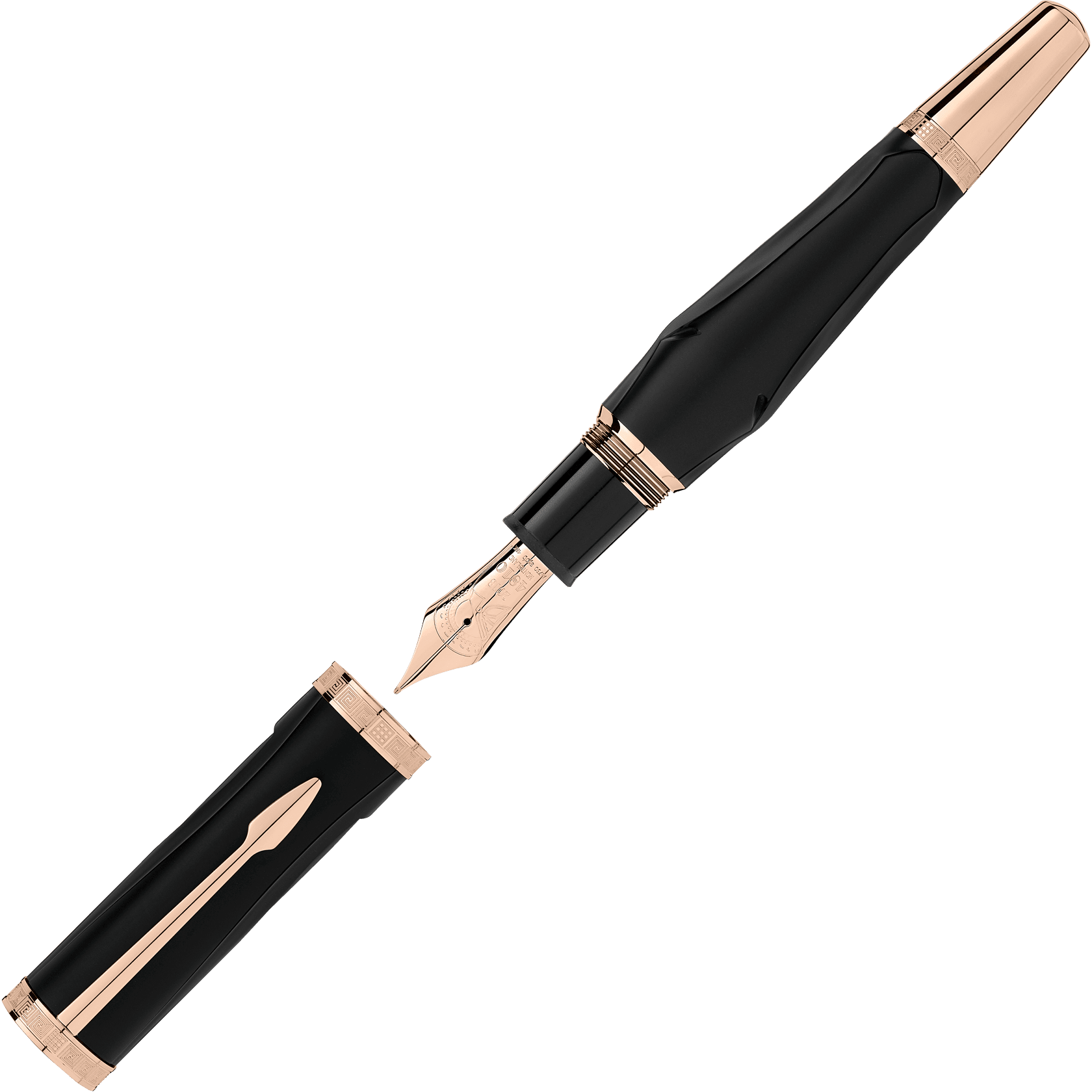Writers Edition Homage to Homer Limited Edition Fountain Pen